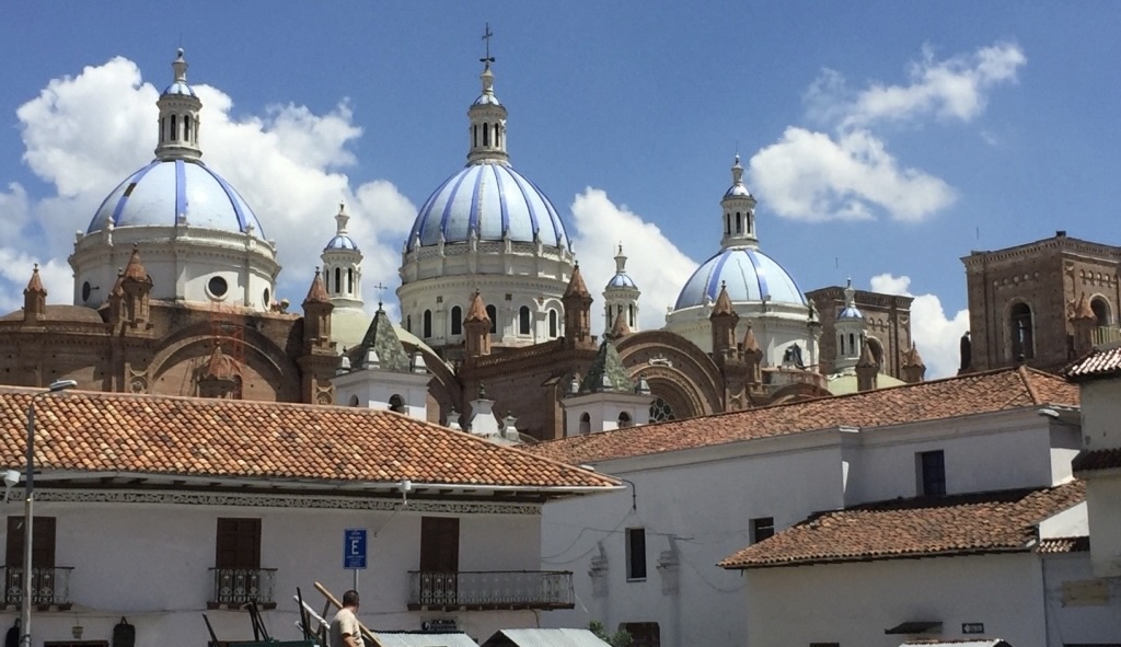 Amazon Rainforest Canopy View