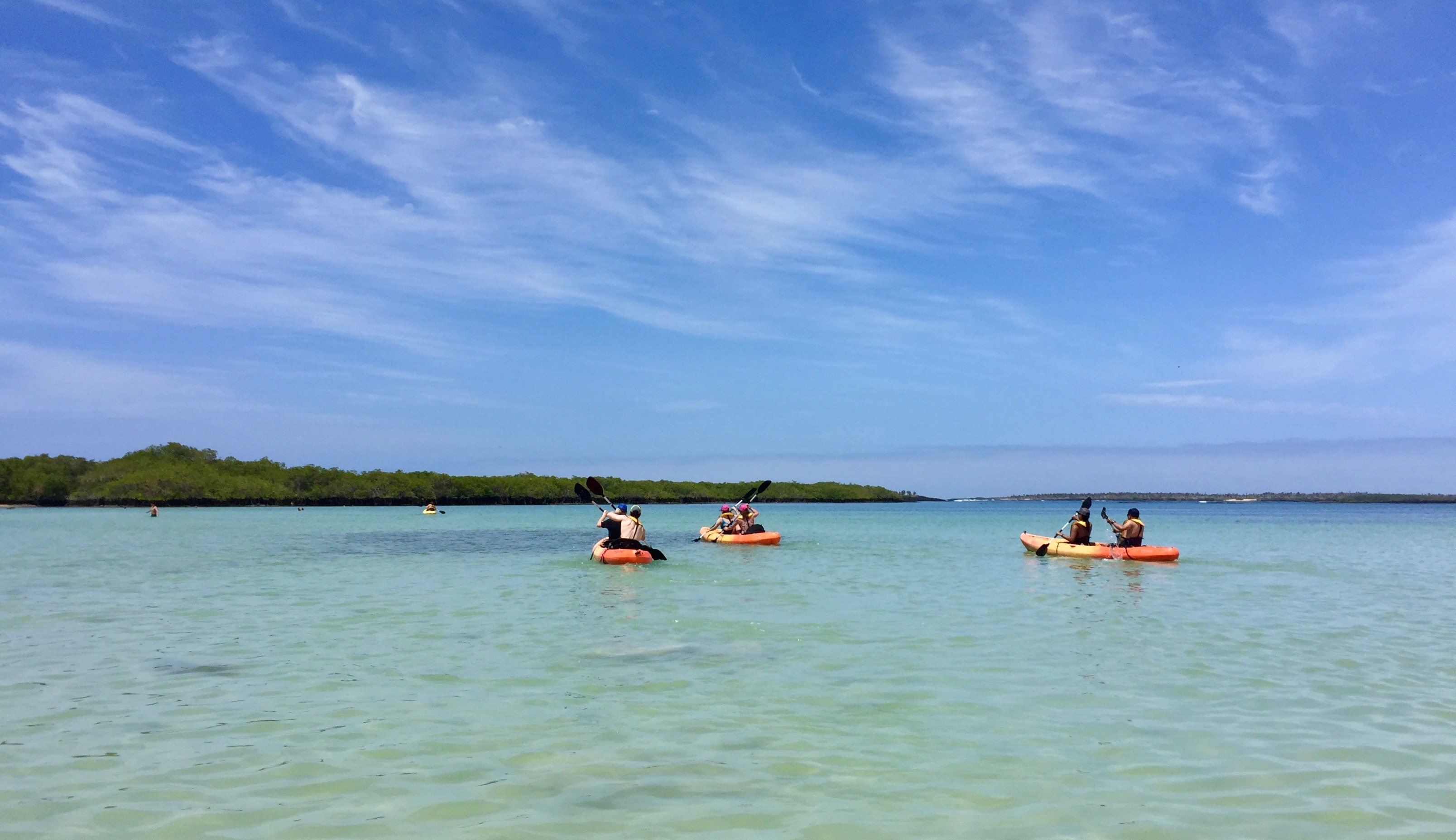 Clear blue sea with three yellow and orange double kayaks paddling into distance under blue sky with light cloud in Tortuga Bay Galapagos