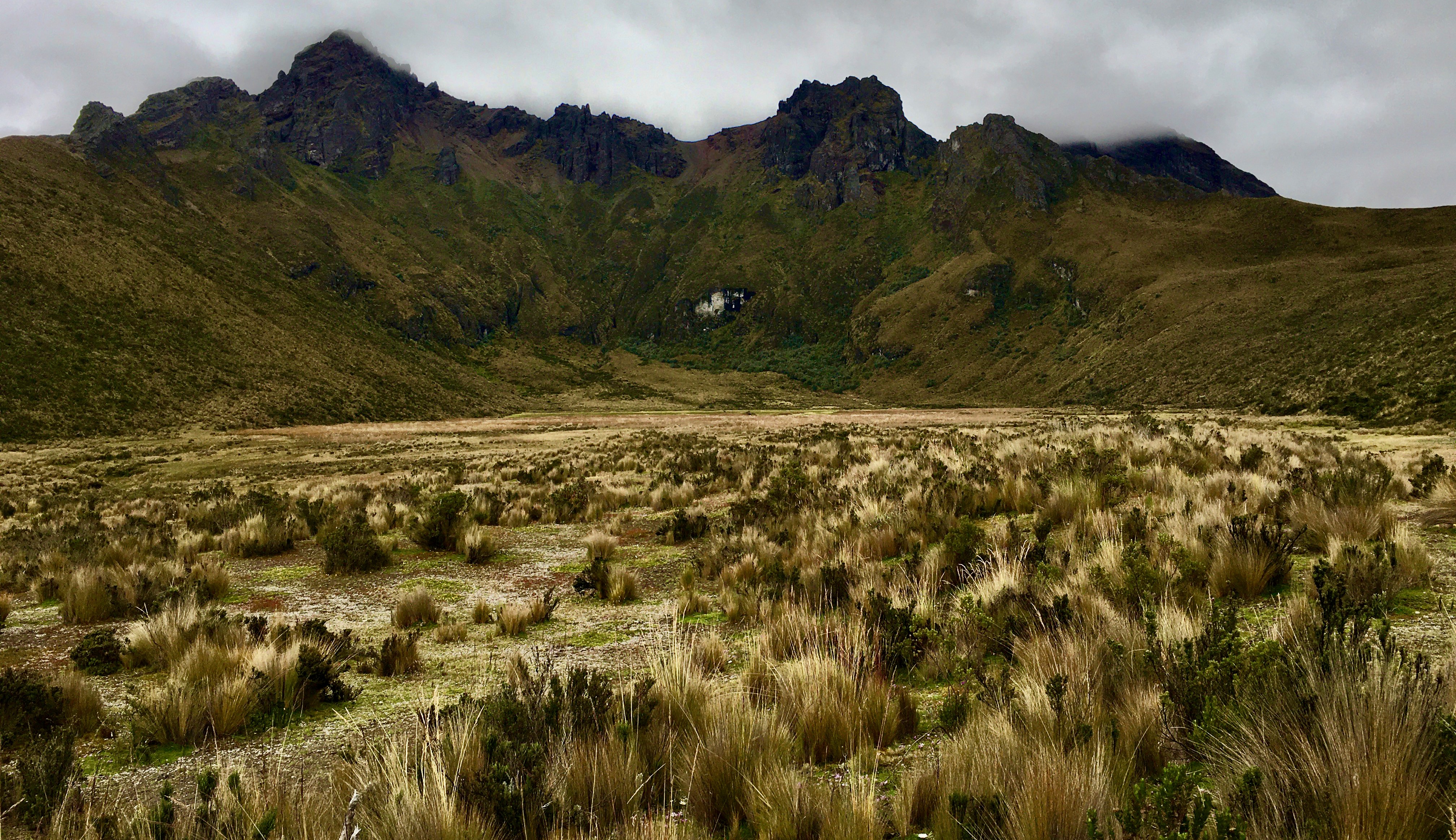 Rumiñahui Volcano with Limpiopungo Lake in Cotopaxi National Park