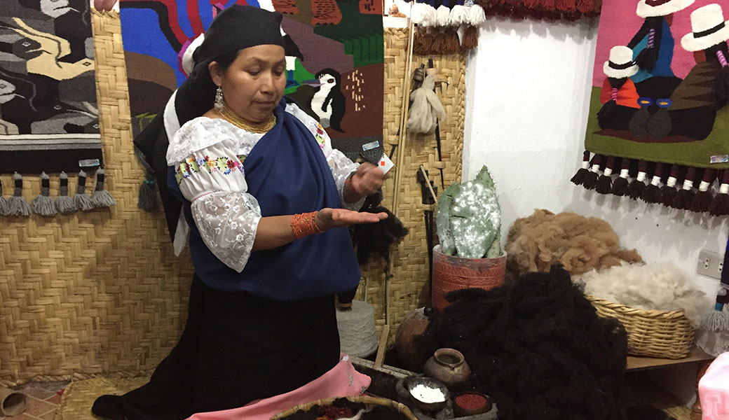 Indigenous lady from Otavalo in traditional dress kneels in front of colourful weavings demonstrating natural dyes in Ecuador